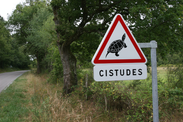 Panneau "Attention cistudes" pour pr&eacute;venir des collisions routi&egrave;res en Brenne &copy; Nicolas Macaire / LPO